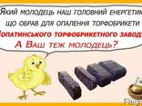 Брикети для опалення пташників, кращі за дрова і вугілля - фото 1