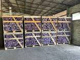 Brikets/firewood/ruf/pine kay export - фото 1
