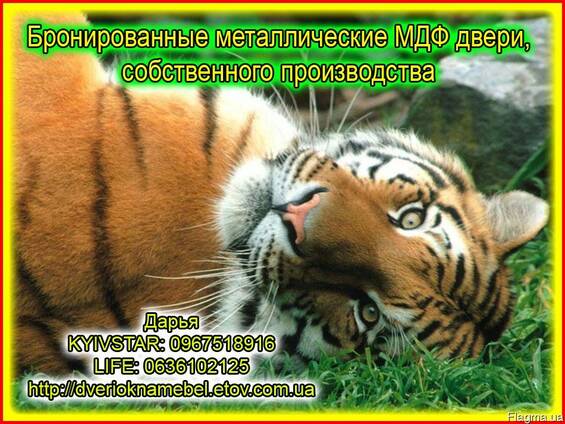 Бронированные двери