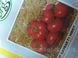 Btx 053 f1 Детерминантный ранний (95-100 дней) томат для збутку в свежем виде и. ..