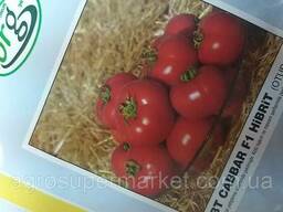 Cabbar F1 (Джаббар) Новий гібрид червоного низькорослого томату 500 семян. BT tohum