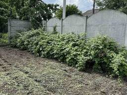 Будинок з великою ділянкою 3D ТУР