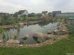 Будівництво плавальних ставків. Ставки купальні. Экопруд