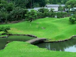 Будівництво штучних водойм