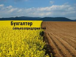 Бухгалтер для предприятияй, занимающихся сельским хозяйством