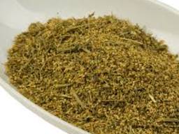 Бузина цвет