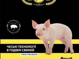 Престартерний комбікорм для поросят