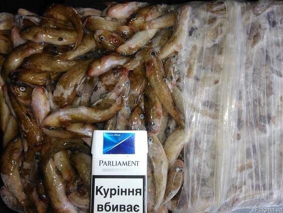 Бычок свежий и свежемороженый