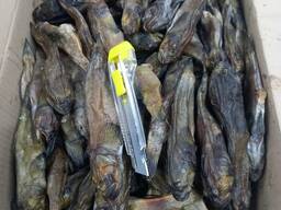 Бичок в'ялений