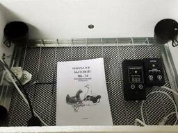 Бытовой автоматический инкубатор «Наседка ИБА-54»