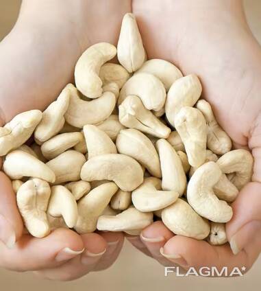 Cashew nut
