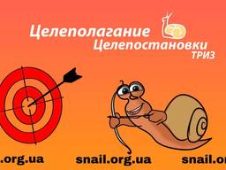 Целепостановки, целеполагание. Жизненные стратегии личности. ТРИЗ