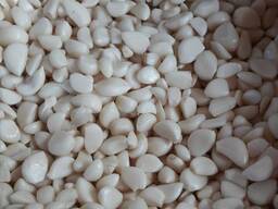 Часник чищений молодий. Очищенный чеснок