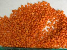 Чечевица красная