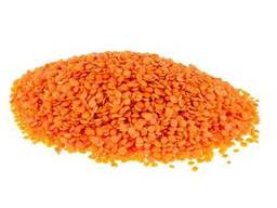 Чечевица красная