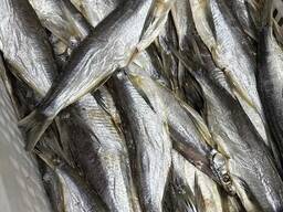 Чехонь в'ялений. .