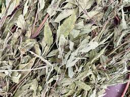 Череда, причепа, собачі реп'яхи, чорнобривець болотяний, сушена череда