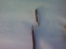 Черенки для прививки