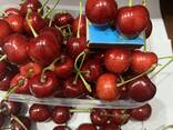 Черешня оптом - фото 1