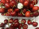 Черешня оптом - фото 2