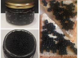 Черная икра веслоноса 200 г Одесского рыбзавода