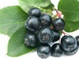 Черноплодная рябина 100 грамм