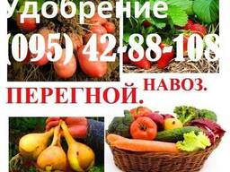 Чернозем Навоз Перегной Сыпец Торф в мешках без выходных