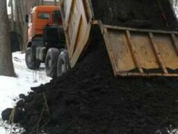 Чернозем Вышгород Вышгородский район
