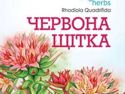 Червона щітка (родіола чотирьох частинна)