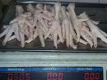 Chicken Feet and chicken paws and whole halal chicken at the best prices with prompt shipp - фото 3