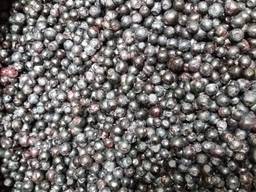 Чорниця заморожена