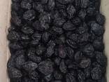 Чорнослив - фото 2