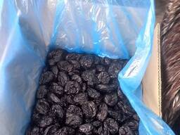 Чорнослив Молдавський Стенлей