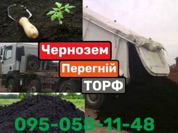 ЧОРНОЗЕМ. ТОРФ. Перегной