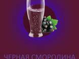 Чёрная смородина для морсов - фото 3