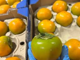 Цитрусові фрукти з Іспанії