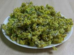 Безсмертник 40г