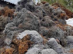 Купим Cтружку стальную.