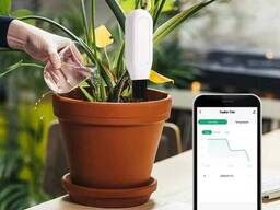 Набір Angel в комплекті датчик для рослин Bluetooth