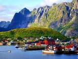 Деловая поездка в Норвегию: «Легендарные фьорды севера». - фото 3