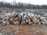 Деревина дров`яна промислового використання 1а (береза)