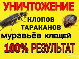 Дезинфекция, уничтожение тараканов Днепр, от 400 грн!