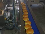 Завод (виготовлення пончиків, донатів, хлібобулочних)виробів Глибокої заморозки - фото 14