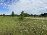 Ділянка в Святопетрівському, 2 гектари, 6 км до Окружної дороги - фото 8