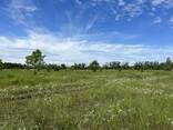 Ділянка в Святопетрівському, 2 гектари, 6 км до Окружної дороги - фото 13