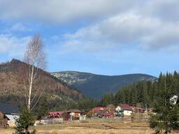 Ділянка в селі Поляниця 120 соток