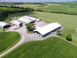 Діючий свинокомплекс, оренда / продаж