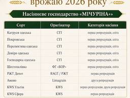 Добірне насіння озимої пшениці для посівної 2026 року