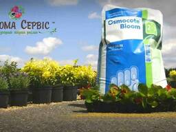 Добриво Osmocote Bloom 2-3 м 25 кг 12+7+18+Te