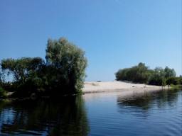 Дом Сушки Прохоровка река лес гараж